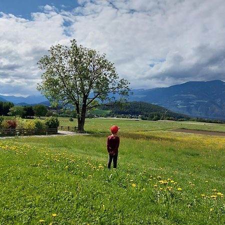 Krebslechnerhof Villa Brunico Dış mekan fotoğraf